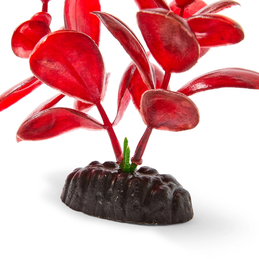 2 Aquarium Natural Plants 4 Pack - Large, 2 of 10