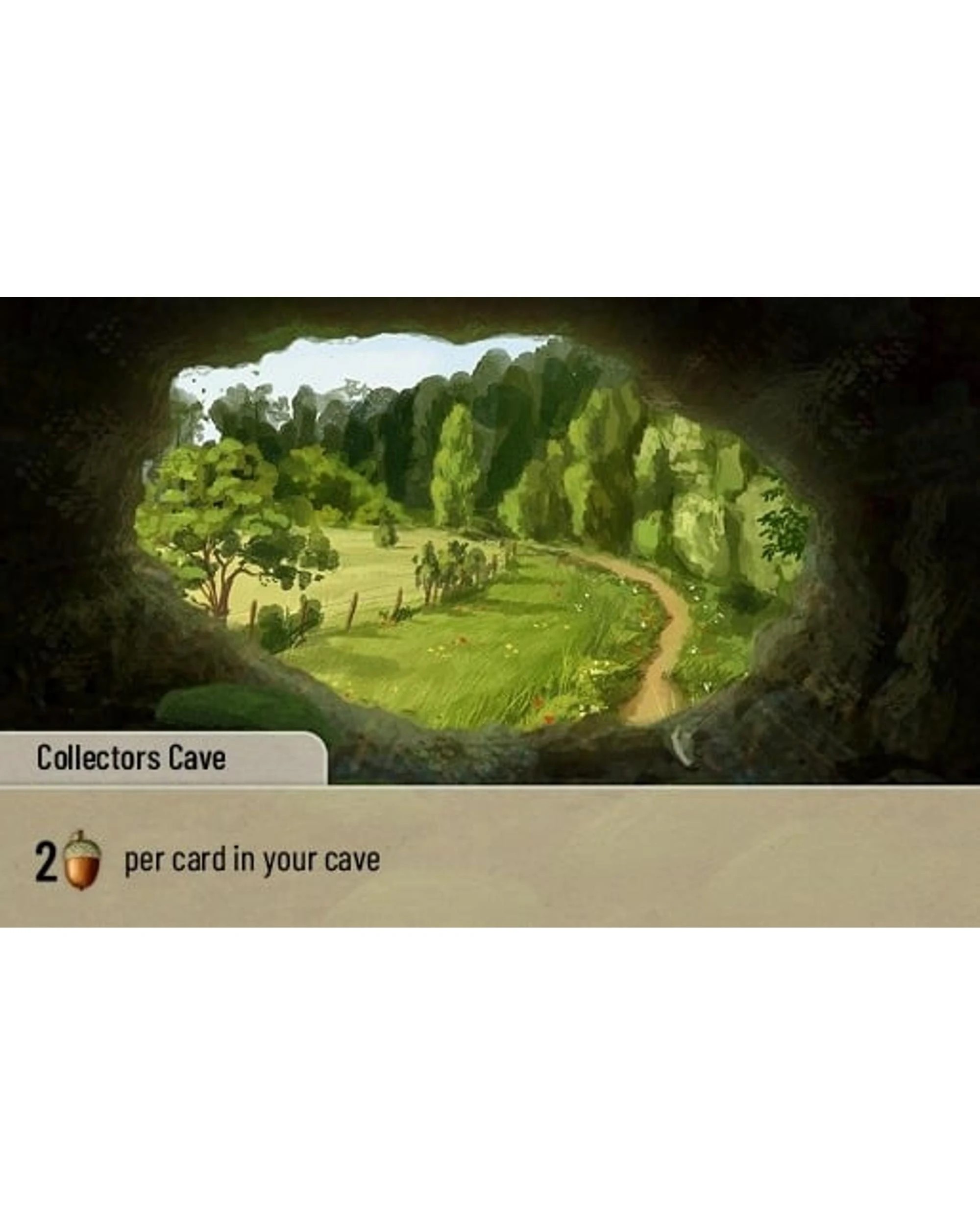 4 Forest Shuffle Exploration Expansion Card Game, 4 of 4