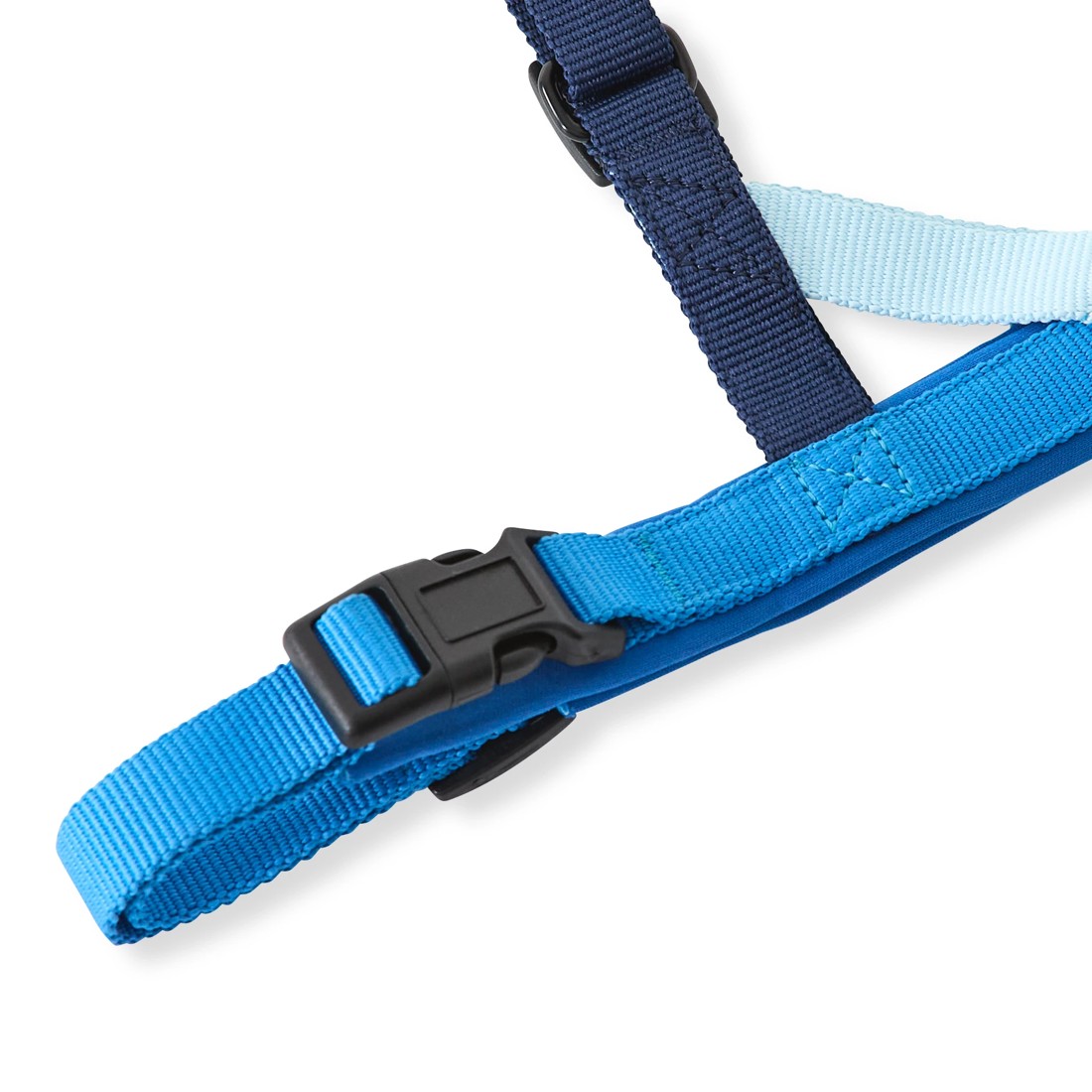 4 Pet Walking Set - Blue, Large, 4 of 5