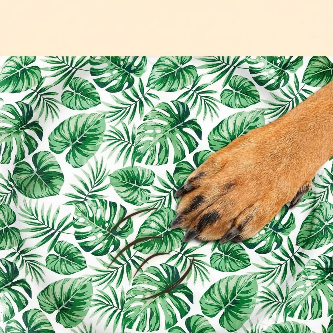 5 i.Pet Pet Cooling Mat Gel Dog Cat Self-cool Puppy Large Round Bed Summer Cushion - Green, 5 of 6