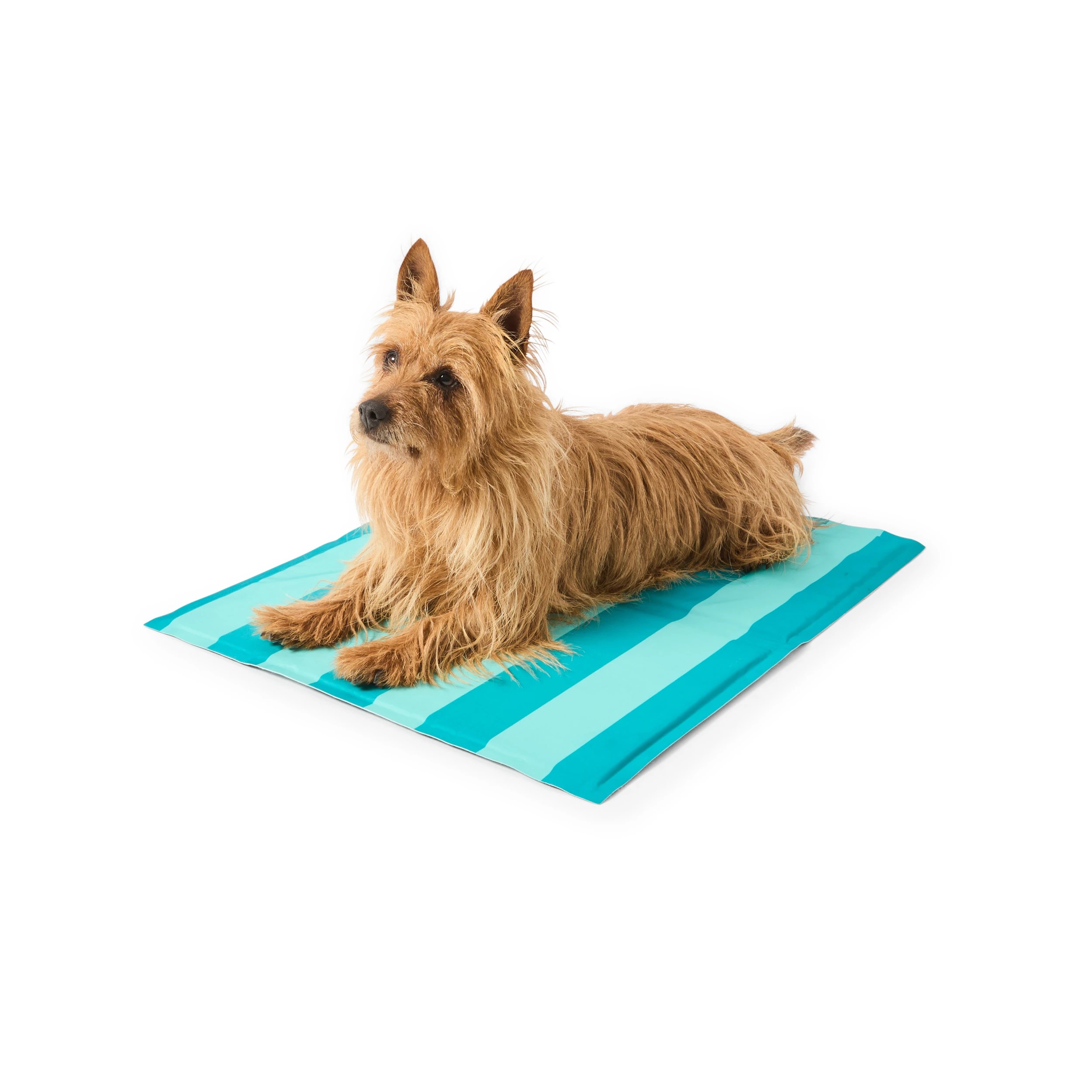 1 Summer Stripes Cool Mat - Medium, 1 of 7