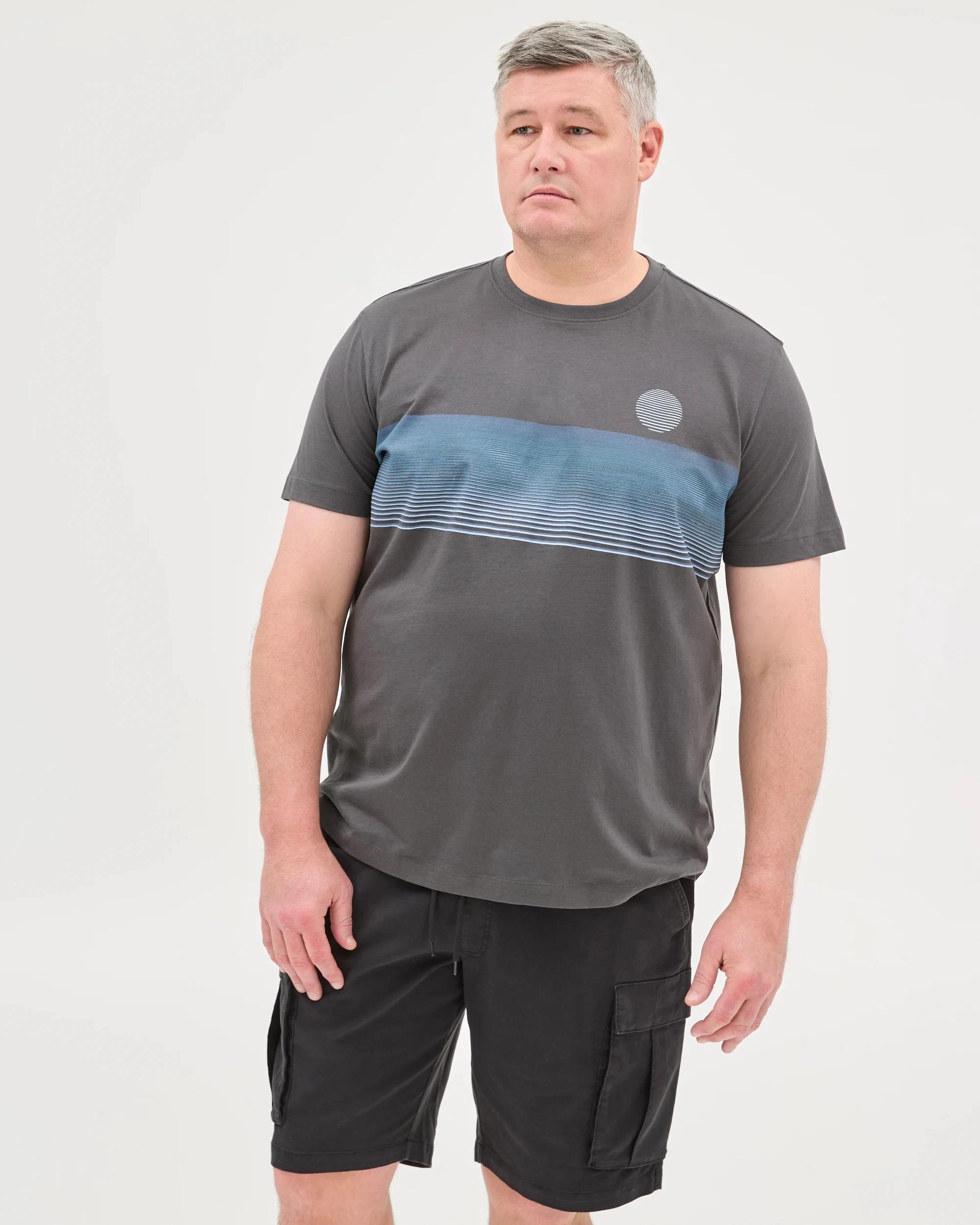 2 Target Plus Size Australian Cotton Fashion T-Shirt ASPHALT, 2 of 5